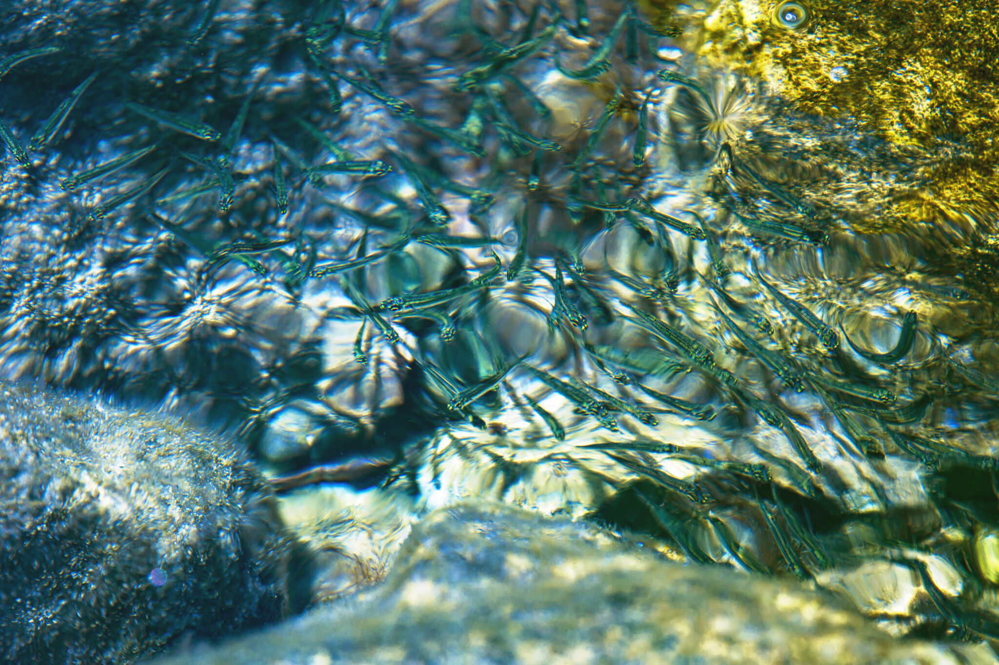 Reflections